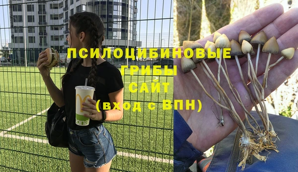 трава Баксан
