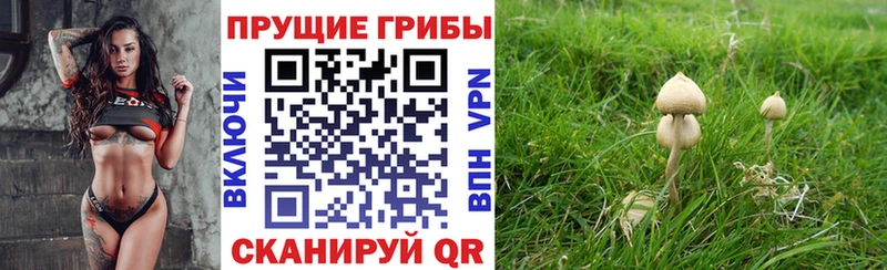 где купить наркоту  Лахденпохья  omg онион  Галлюциногенные грибы мухоморы 